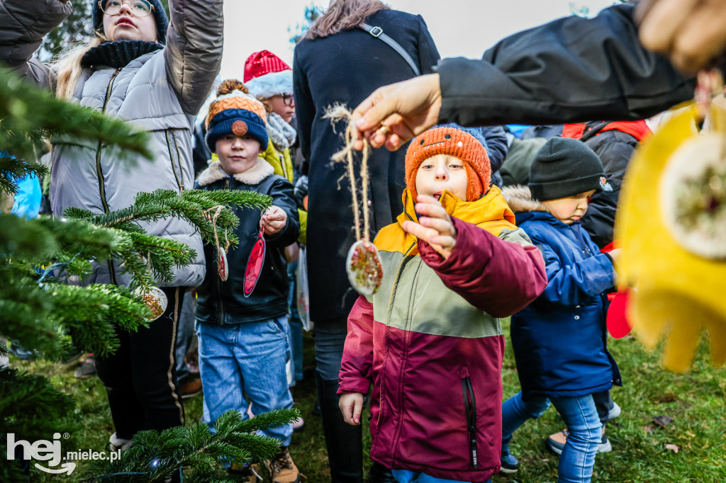 Pierwszy Bożonarodzeniowy Jarmark w Padwi Narodowej