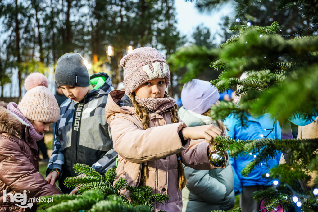 Pierwszy Bożonarodzeniowy Jarmark w Padwi Narodowej