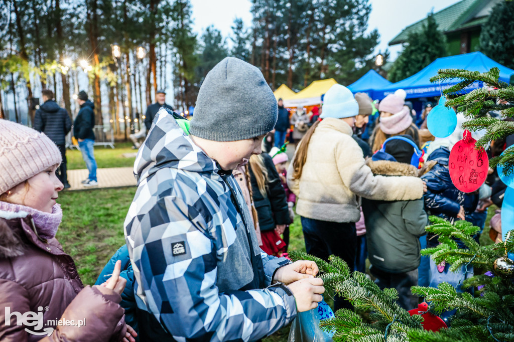 Pierwszy Bożonarodzeniowy Jarmark w Padwi Narodowej