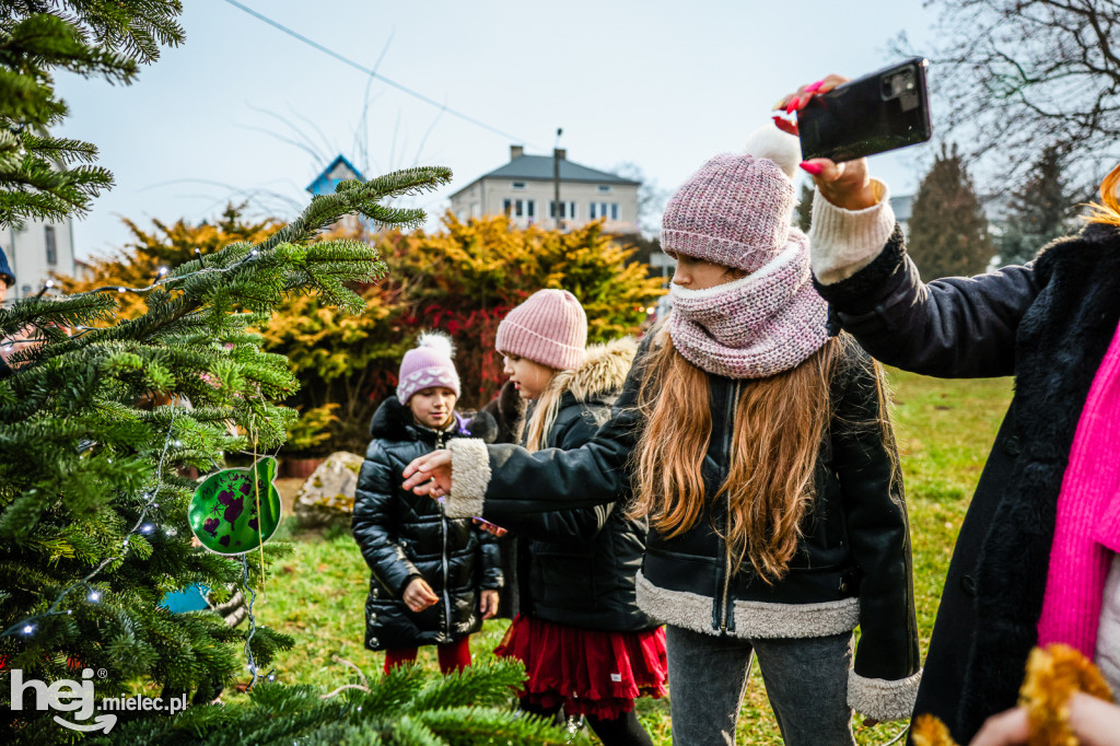 Pierwszy Bożonarodzeniowy Jarmark w Padwi Narodowej