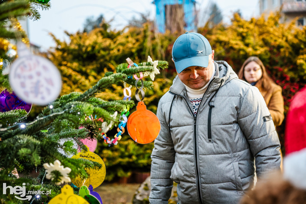 Pierwszy Bożonarodzeniowy Jarmark w Padwi Narodowej