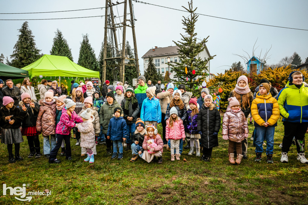 Pierwszy Bożonarodzeniowy Jarmark w Padwi Narodowej