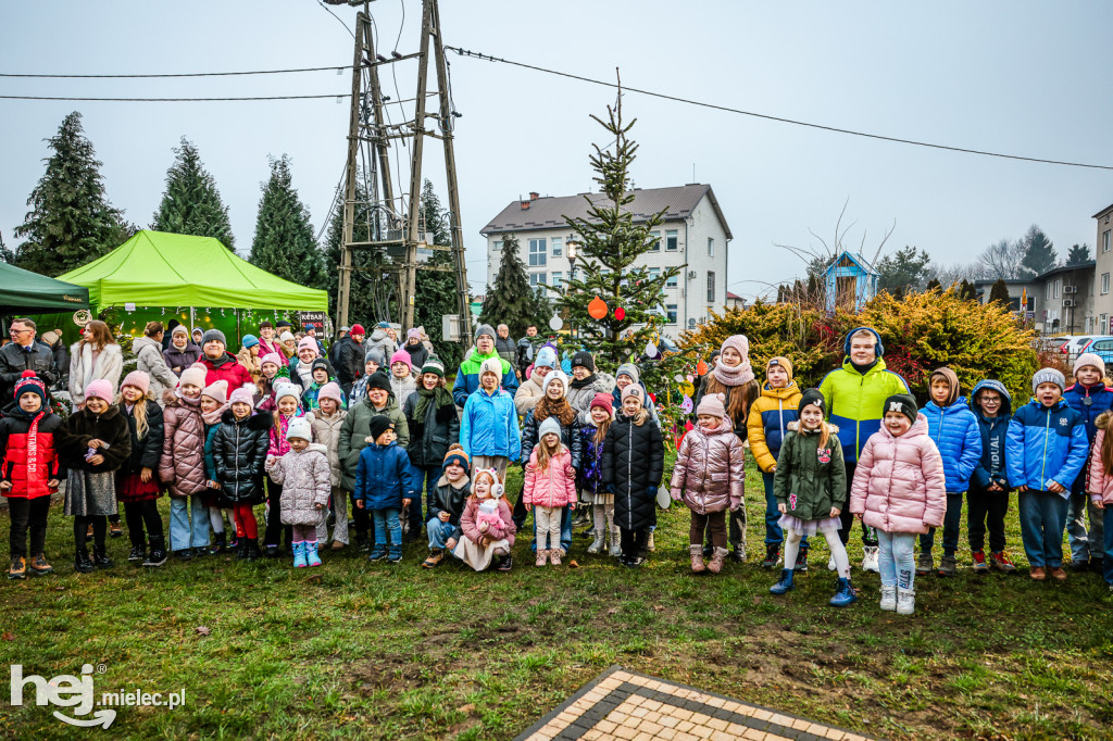Pierwszy Bożonarodzeniowy Jarmark w Padwi Narodowej
