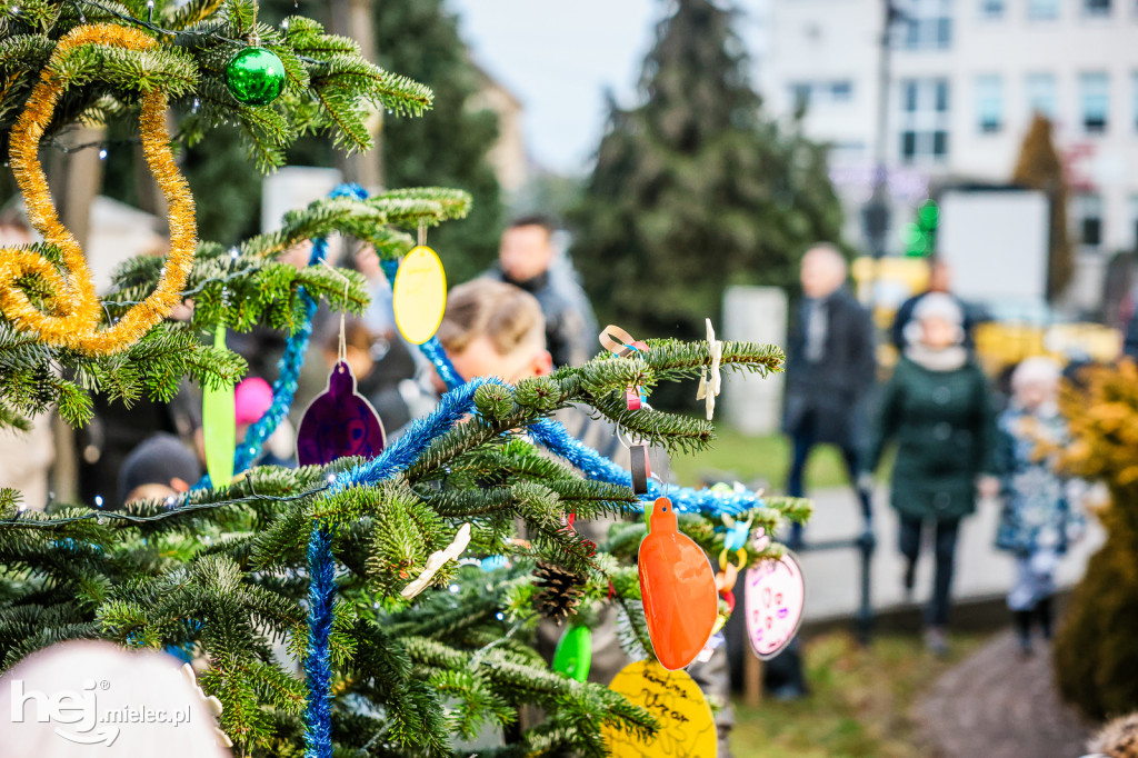 Pierwszy Bożonarodzeniowy Jarmark w Padwi Narodowej