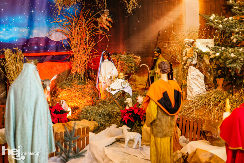 Bożonarodzeniowe szopki w mieleckich kościołach