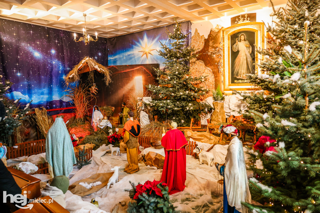 Bożonarodzeniowe szopki w mieleckich kościołach