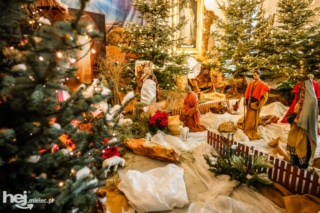 Bożonarodzeniowe szopki w mieleckich kościołach