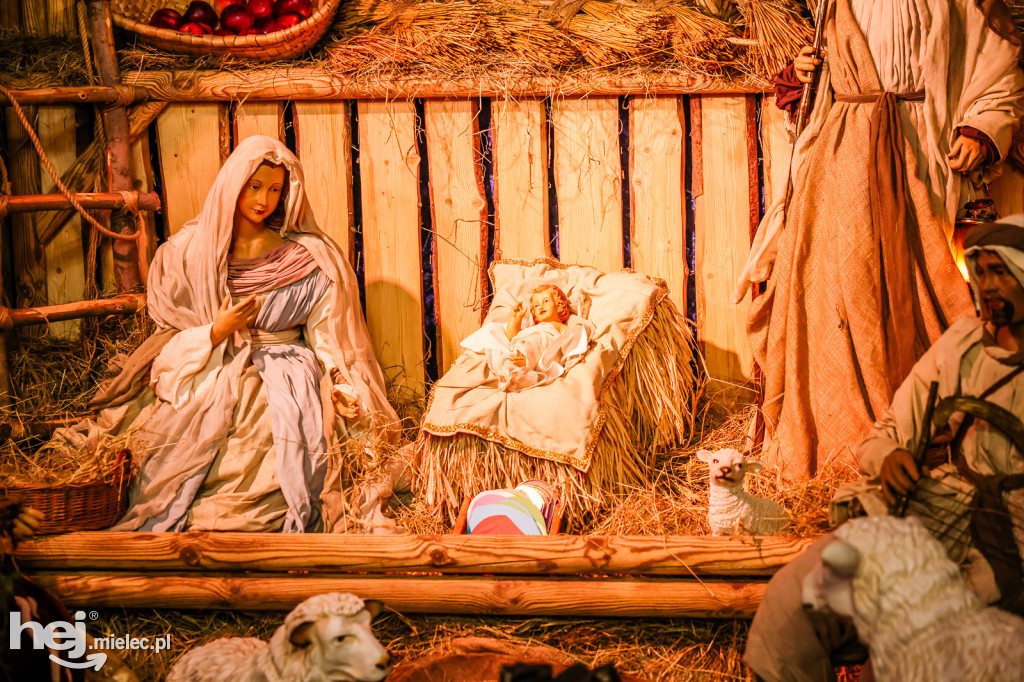 Bożonarodzeniowe szopki w mieleckich kościołach