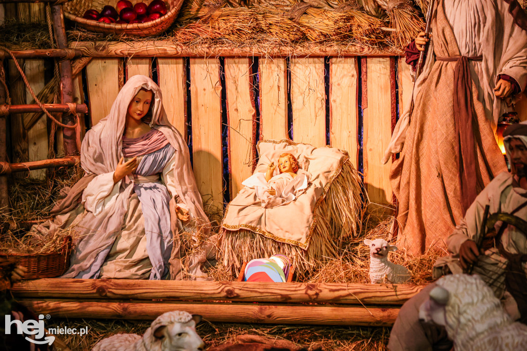 Bożonarodzeniowe szopki w mieleckich kościołach