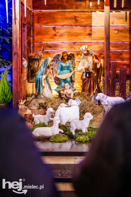 Bożonarodzeniowe szopki w mieleckich kościołach