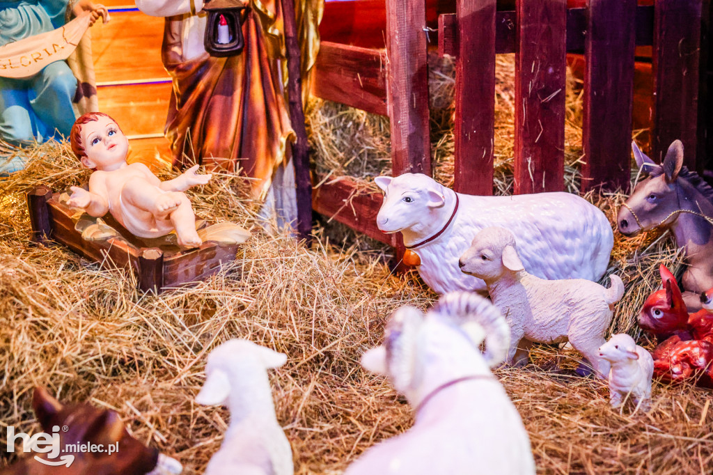 Bożonarodzeniowe szopki w mieleckich kościołach