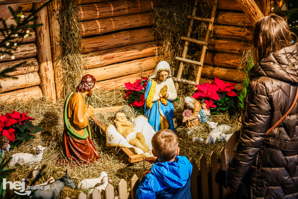 Bożonarodzeniowe szopki w mieleckich kościołach