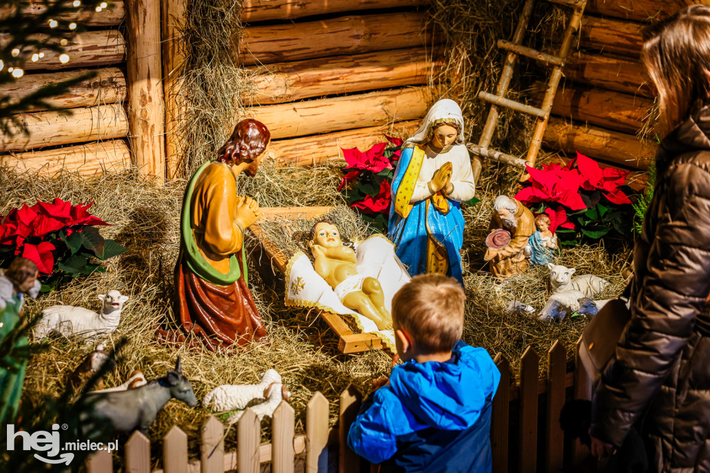 Bożonarodzeniowe szopki w mieleckich kościołach