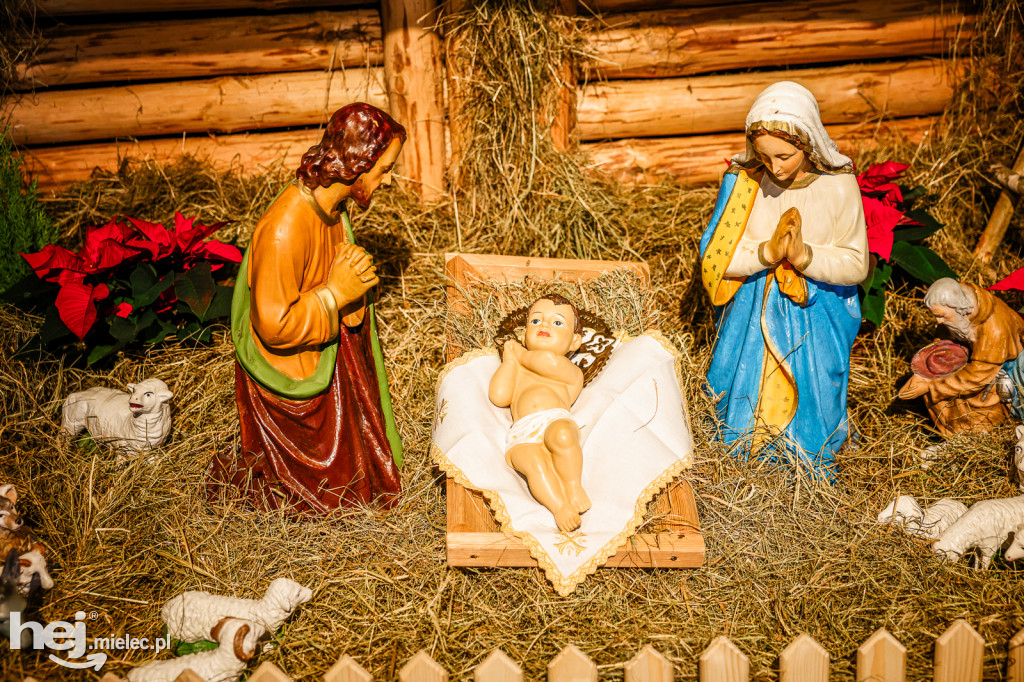 Bożonarodzeniowe szopki w mieleckich kościołach