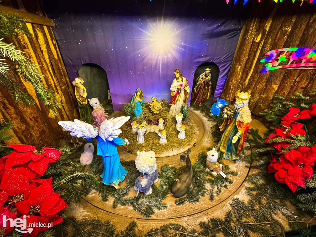 Kangury z młodym hitem żywej szopki w Woli Baranowskiej