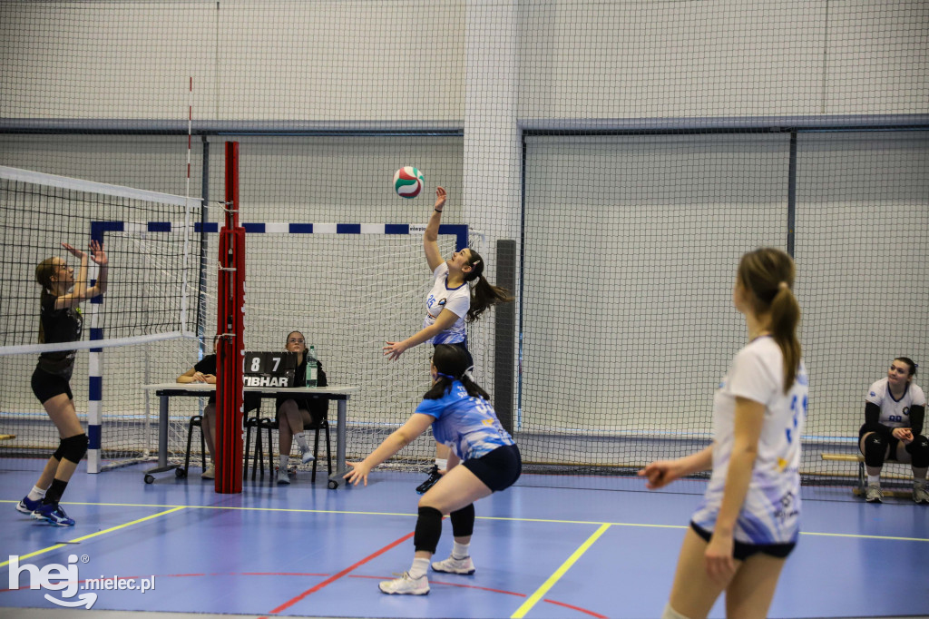 Turniej Siatkówka wśród Gwiazd