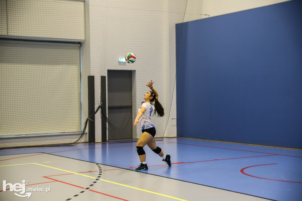 Turniej Siatkówka wśród Gwiazd