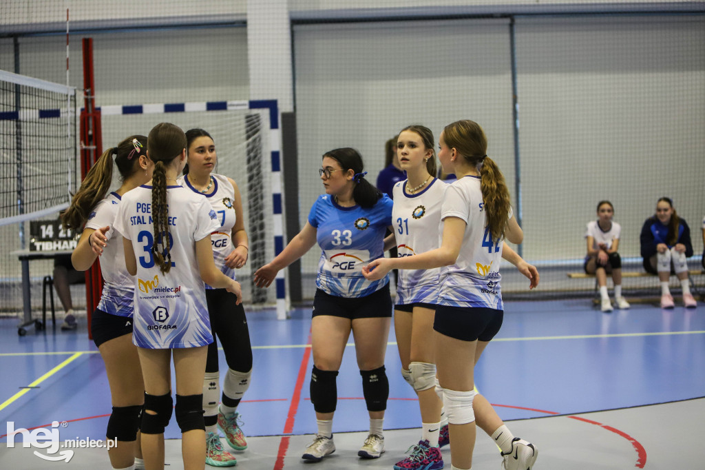 Turniej Siatkówka wśród Gwiazd