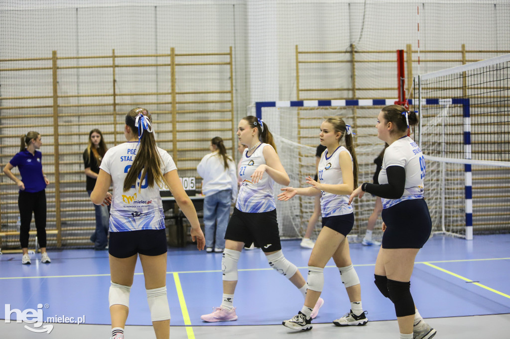 Turniej Siatkówka wśród Gwiazd