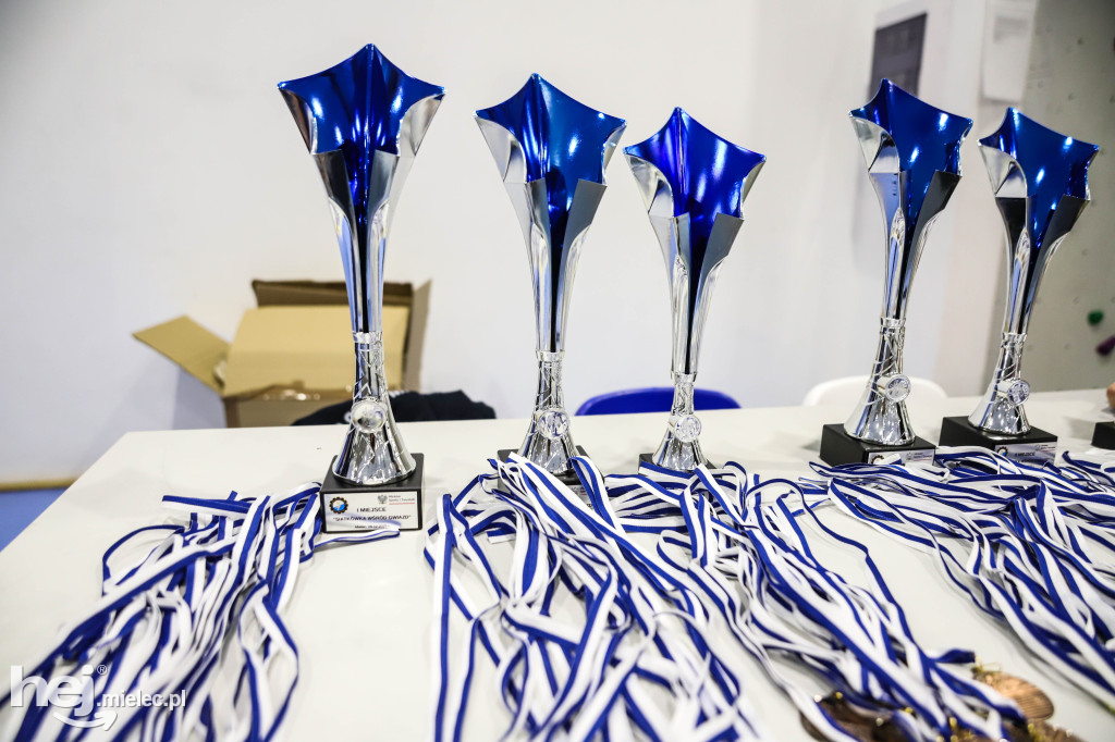 Turniej Siatkówka wśród Gwiazd