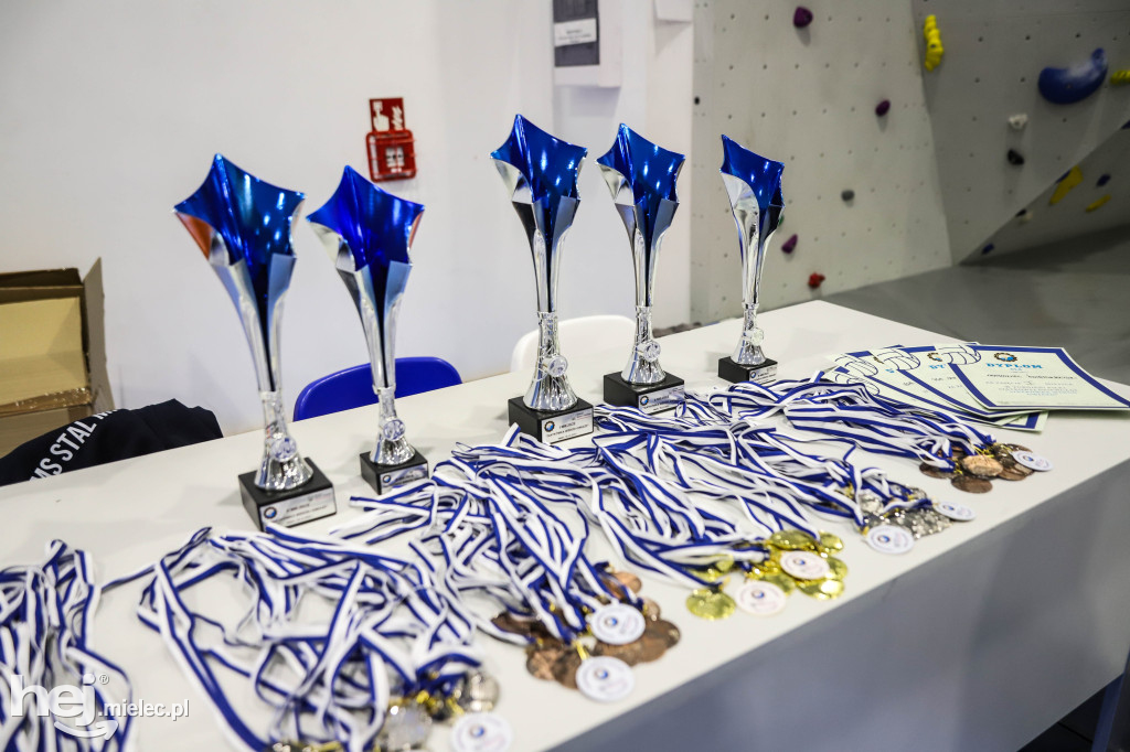 Turniej Siatkówka wśród Gwiazd