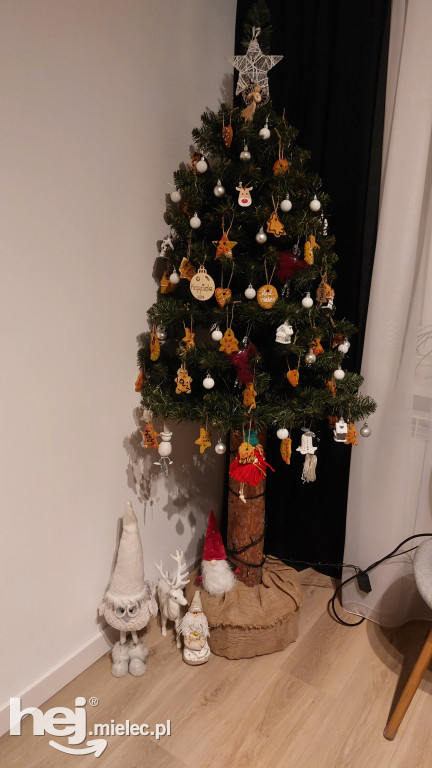 Rozwiązaliśmy konkurs! Sławomir i Katarzyna z wejściówkami na koncert Golec uOrkiestra