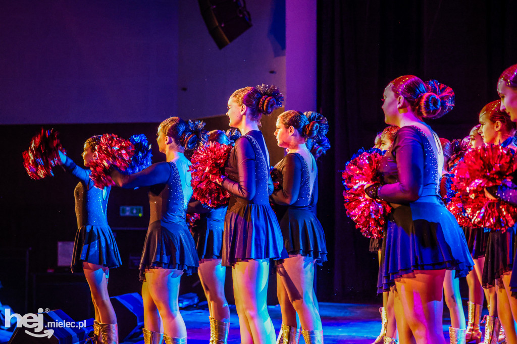 Noworoczny Koncert Orkiestry Dobrynin