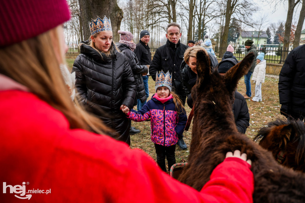 Orszak Trzech Króli w Gawłuszowicach
