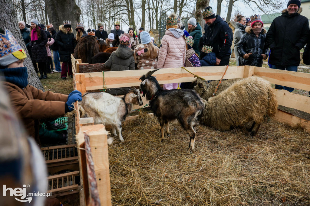 Orszak Trzech Króli w Gawłuszowicach
