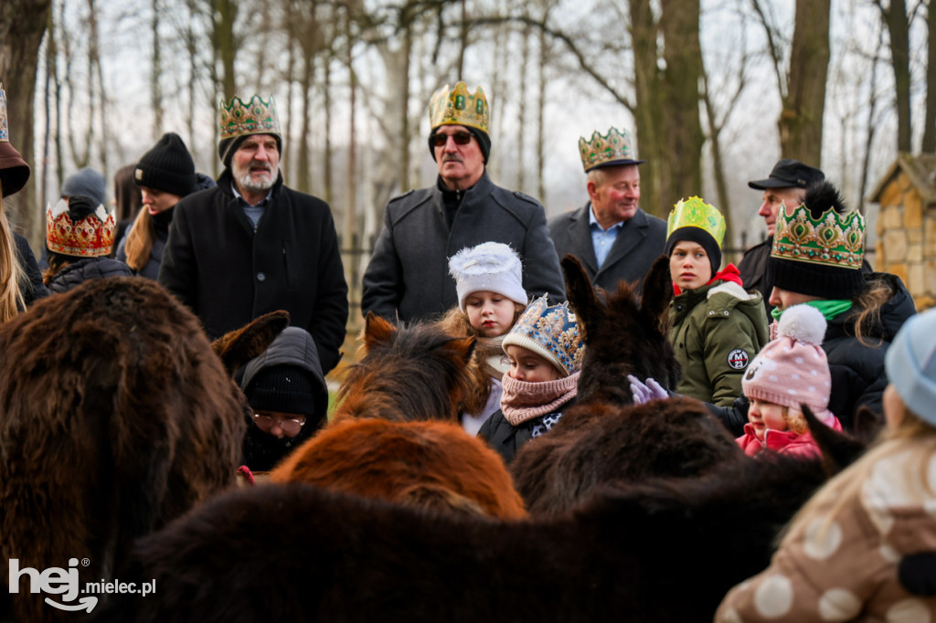 Orszak Trzech Króli w Gawłuszowicach