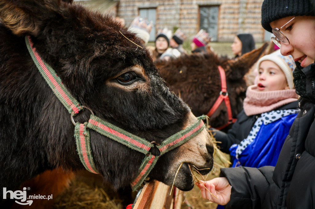 Orszak Trzech Króli w Gawłuszowicach