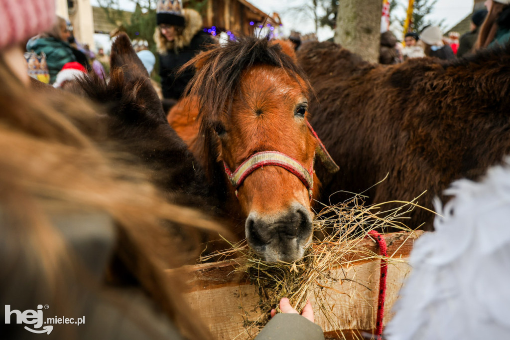 Orszak Trzech Króli w Gawłuszowicach