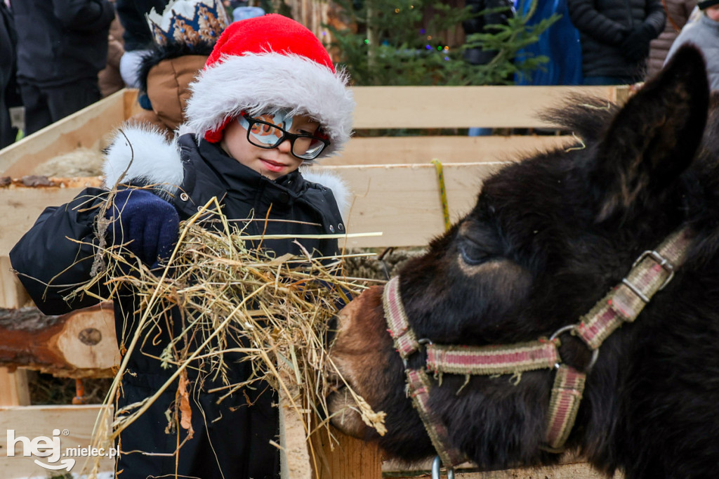 Orszak Trzech Króli w Gawłuszowicach