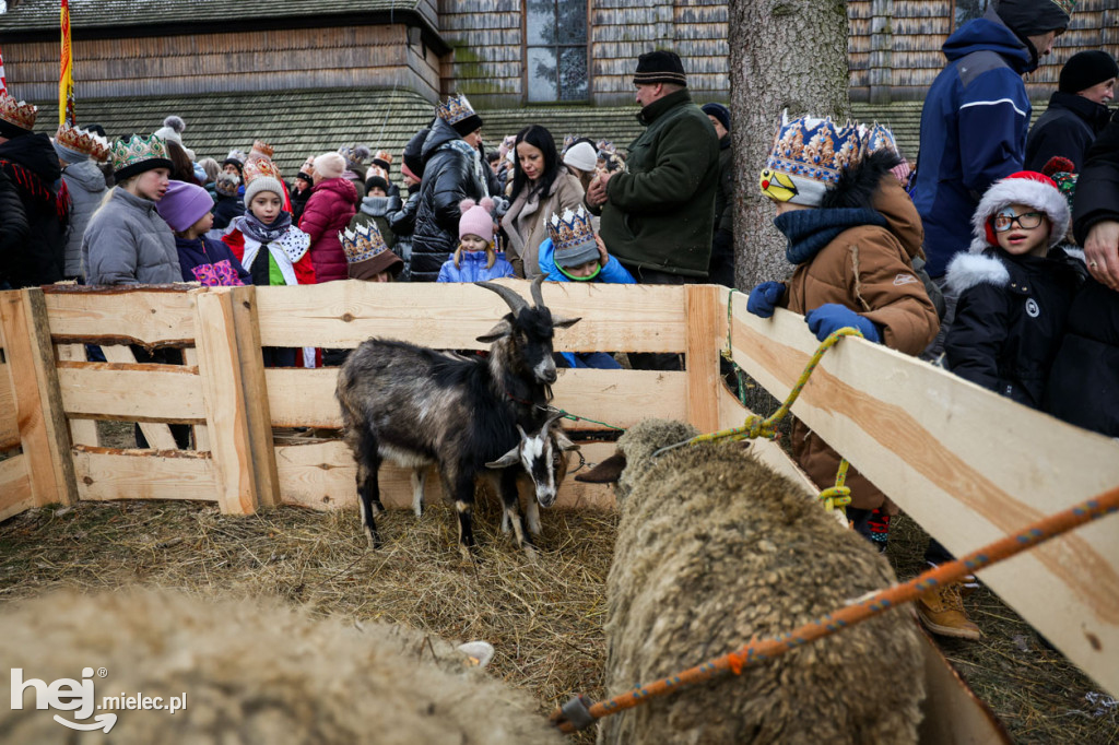 Orszak Trzech Króli w Gawłuszowicach