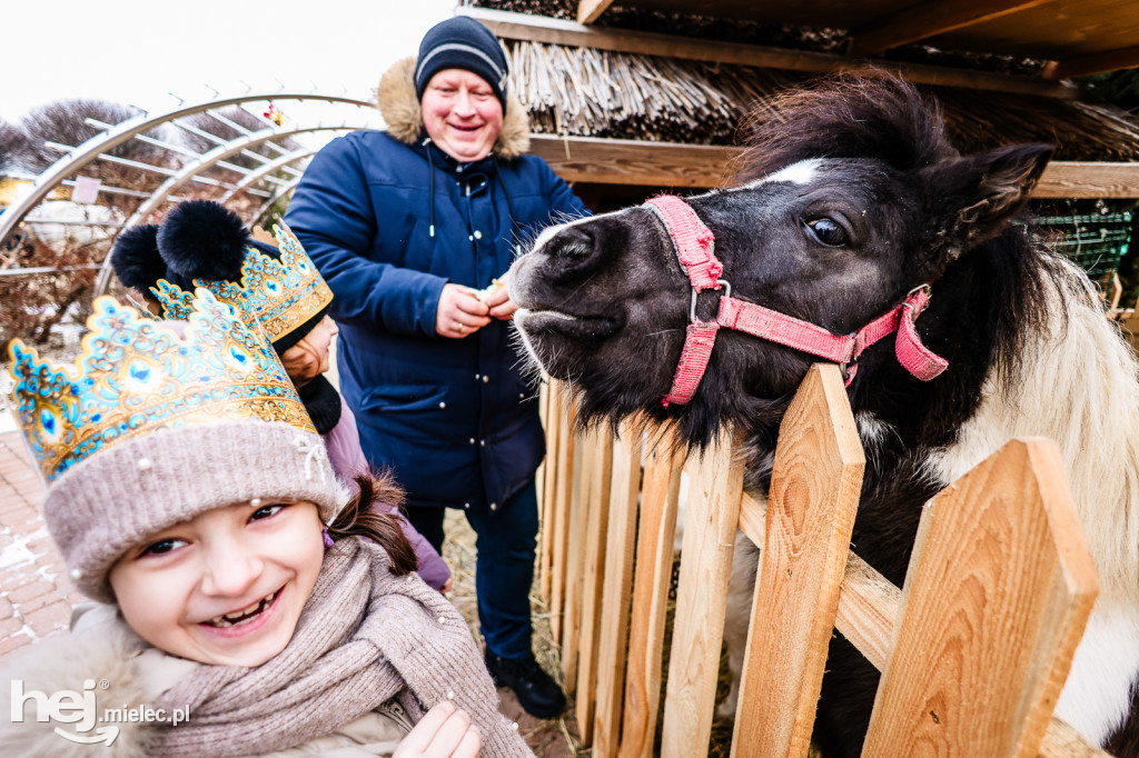Orszak Trzech Króli 2026 w Radomyślu Wielkim