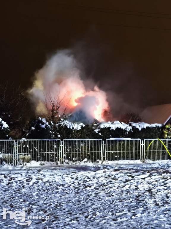 Pożar na ogrodach działkowych