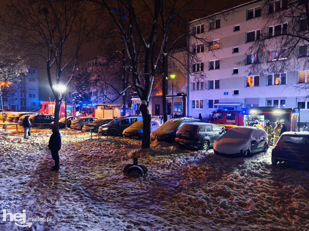 Pożar na ogrodach działkowych