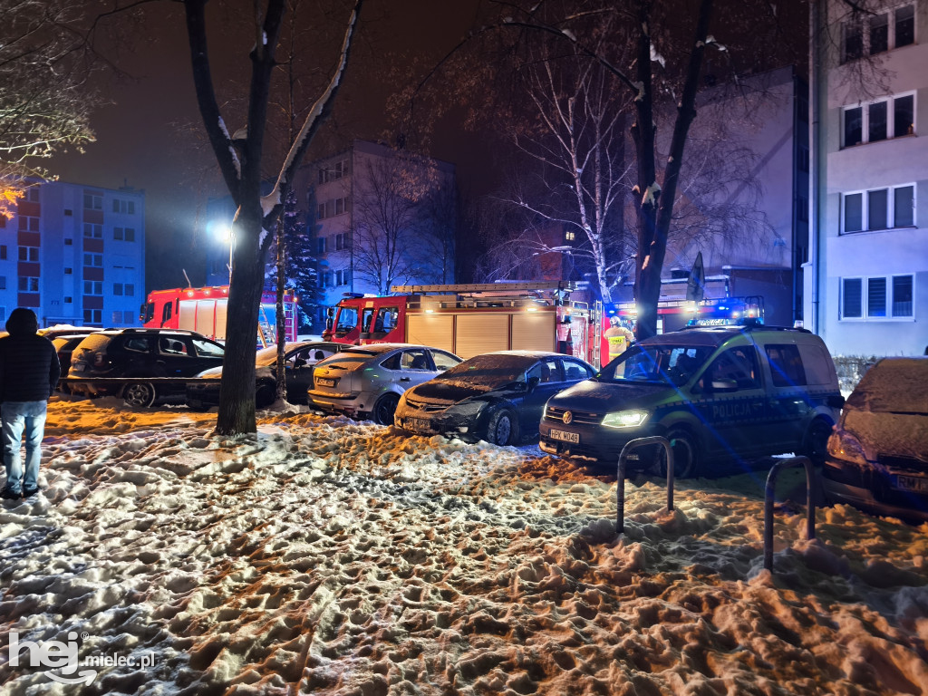 Pożar na ogrodach działkowych
