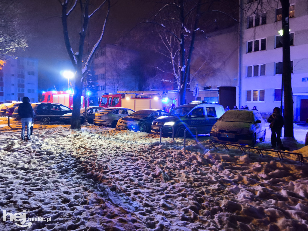 Pożar na ogrodach działkowych