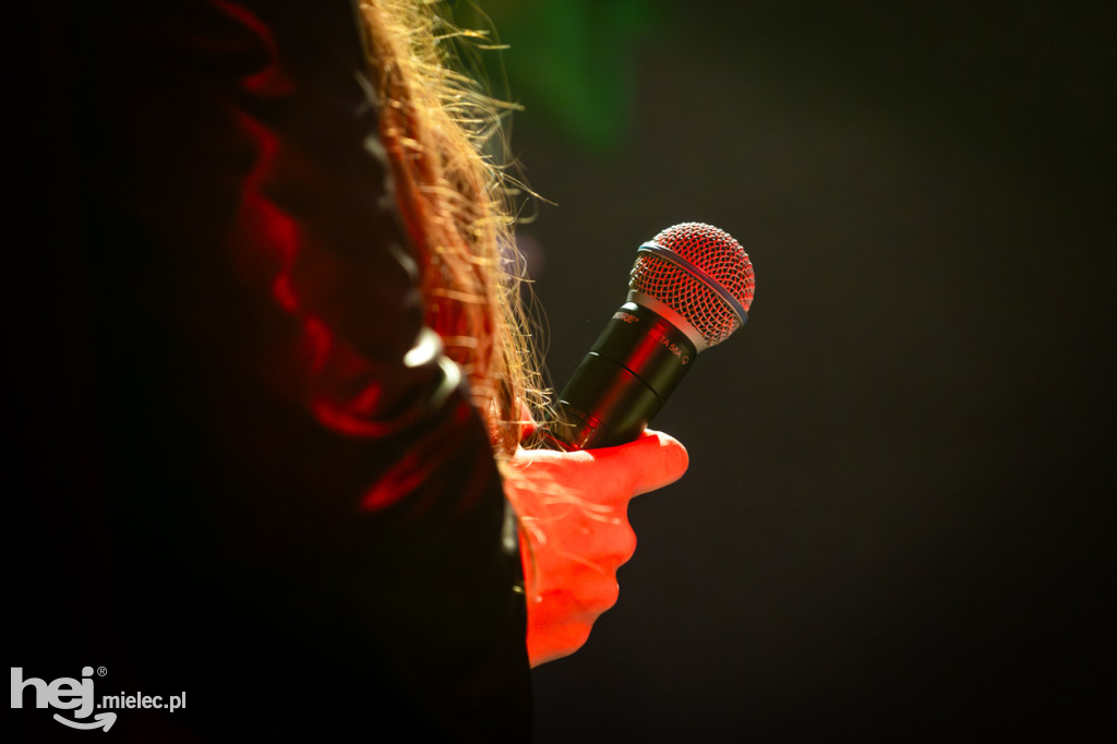 Koncert Noworoczny Big Mielec Band w Jaślanach