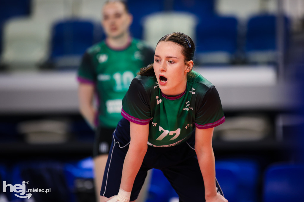 ITA Tools Stal Mielec - Volley Wrocław