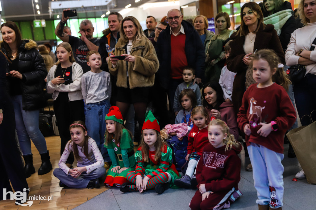 WOŚP w Galerii Navigator