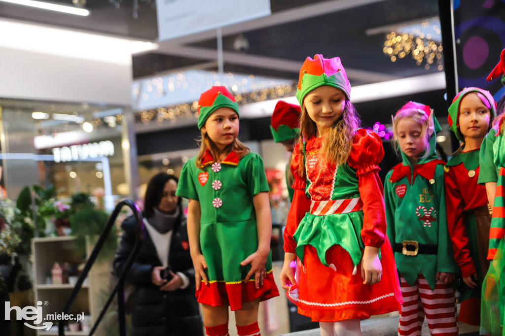WOŚP w Galerii Navigator