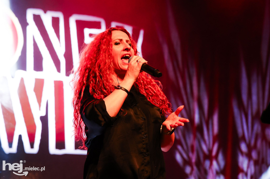 Finał WOŚP w hali MOSiR Mielec