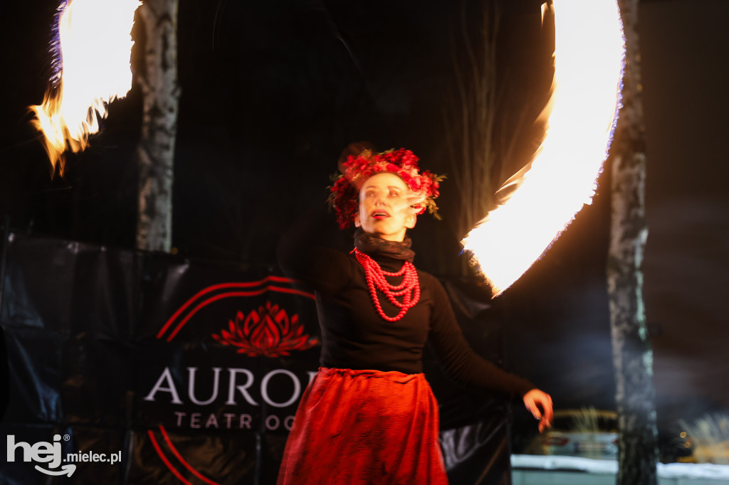 Finał WOŚP w hali MOSiR Mielec