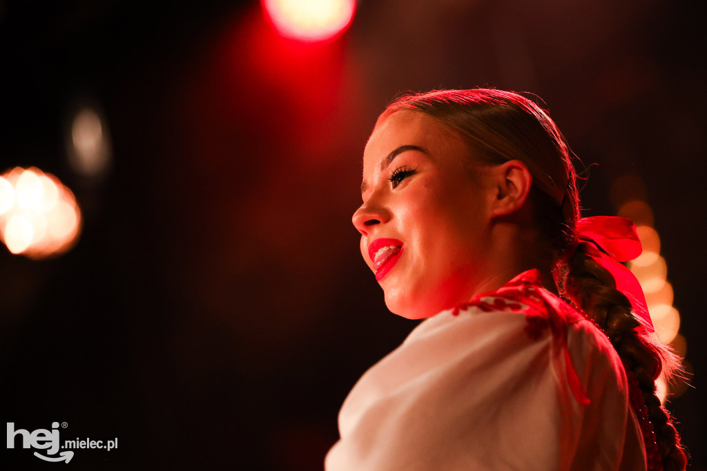 Walentynkowy koncert Rzeszowiaków