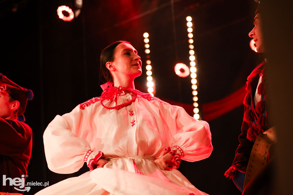 Walentynkowy koncert Rzeszowiaków