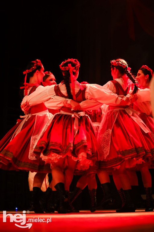 Walentynkowy koncert Rzeszowiaków