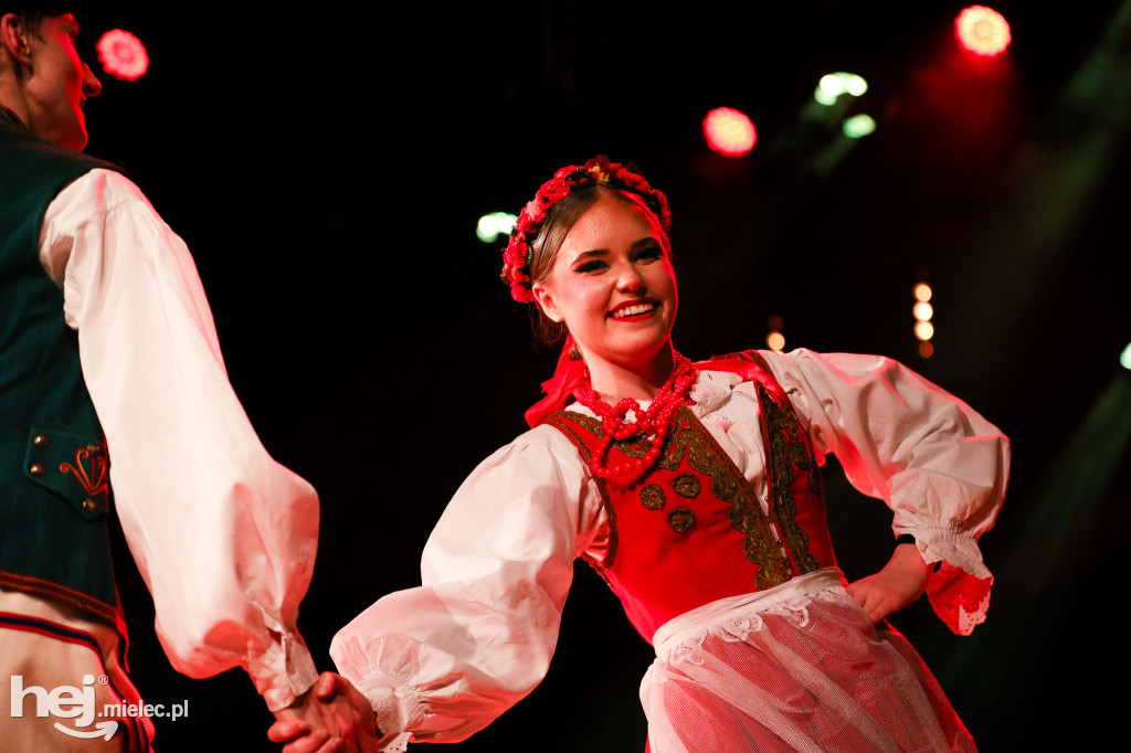 Walentynkowy koncert Rzeszowiaków