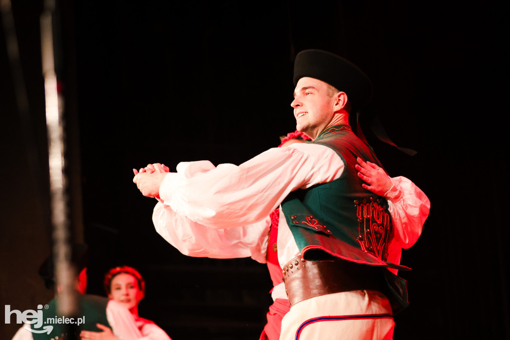 Walentynkowy koncert Rzeszowiaków